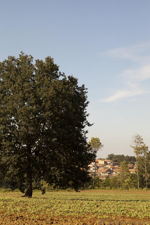 Agriturismo Creta Rossa Torre di Ruggiero المظهر الخارجي الصورة